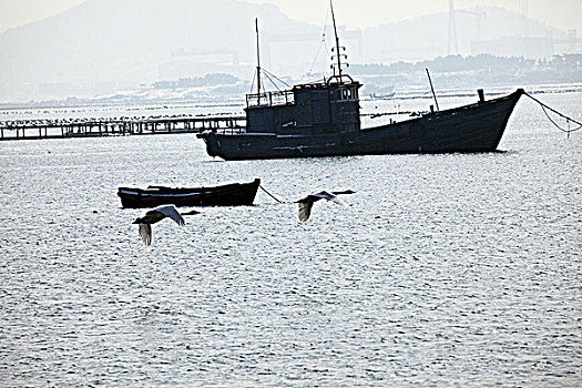trực tiếp xổ số