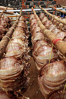 soi cau lo kep ngay hom nay
