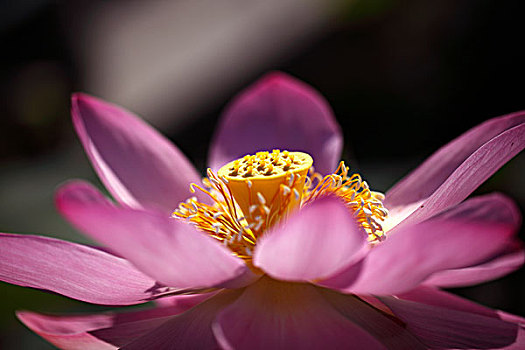soi cầu miễn phí miền bắc