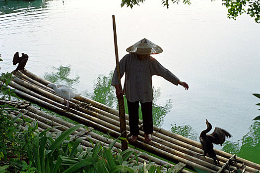 dự đoan xo so miền bac