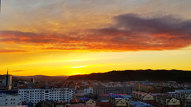 bạch thủ lô 88
