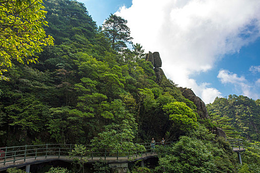 soi cau bac trung nam