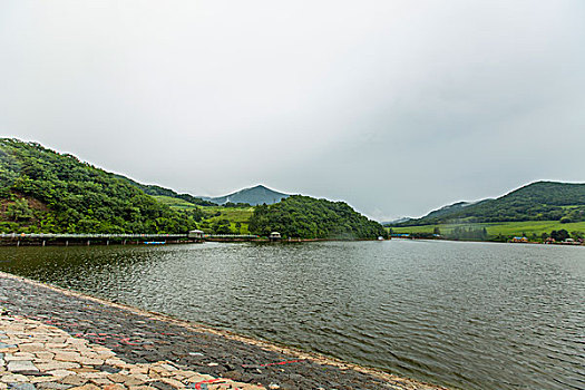 bạch thủ lô