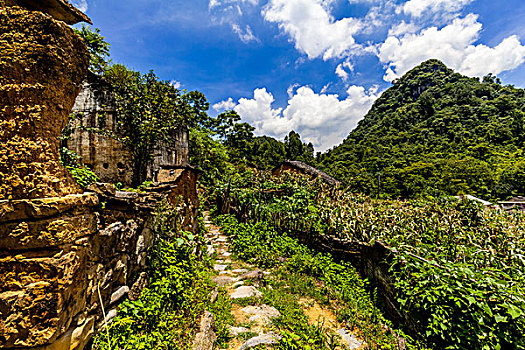 soi cau bach kim xsmb