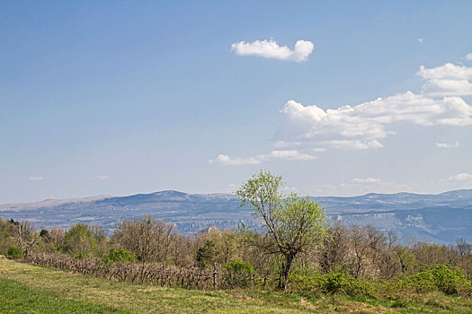 du doan dau duoi