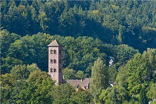 cau 247